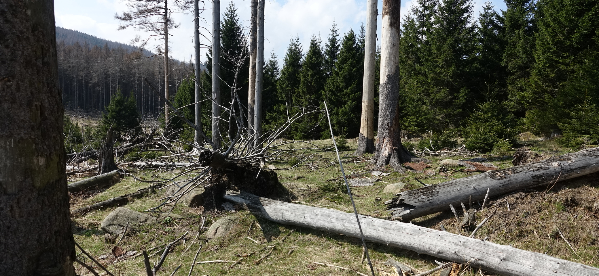 Oberharz | © Rainer Weigelt 2018