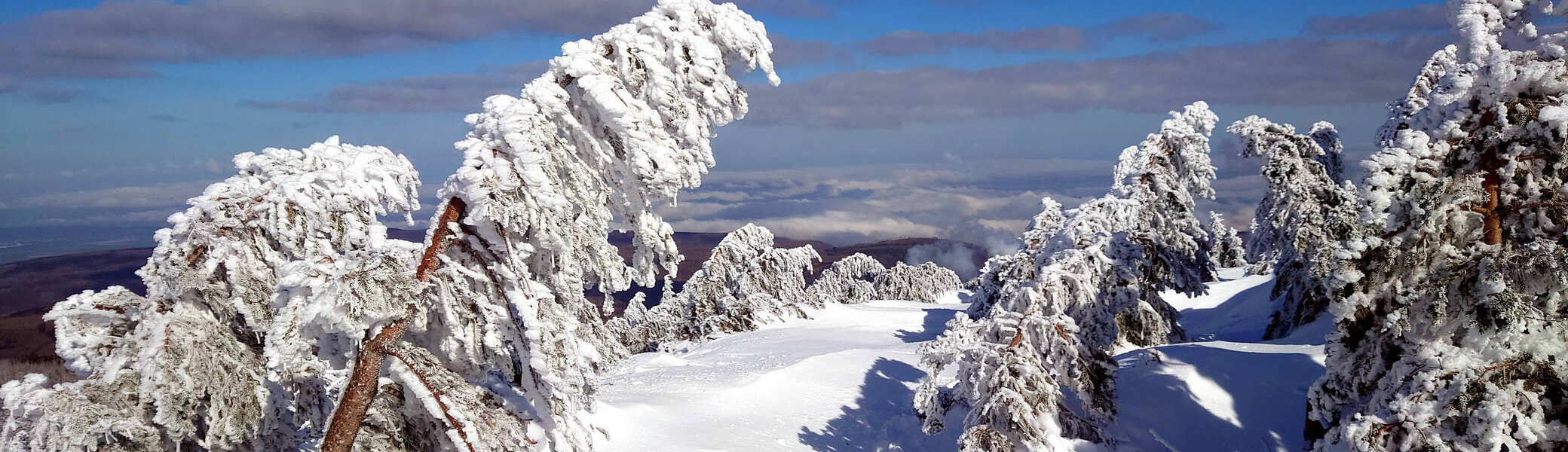 Brocken 2022 Brockenblick | © Ulrich Hoeding 