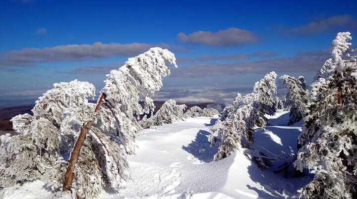 Brocken 2022 Brockenblick | © Ulrich Hoeding 